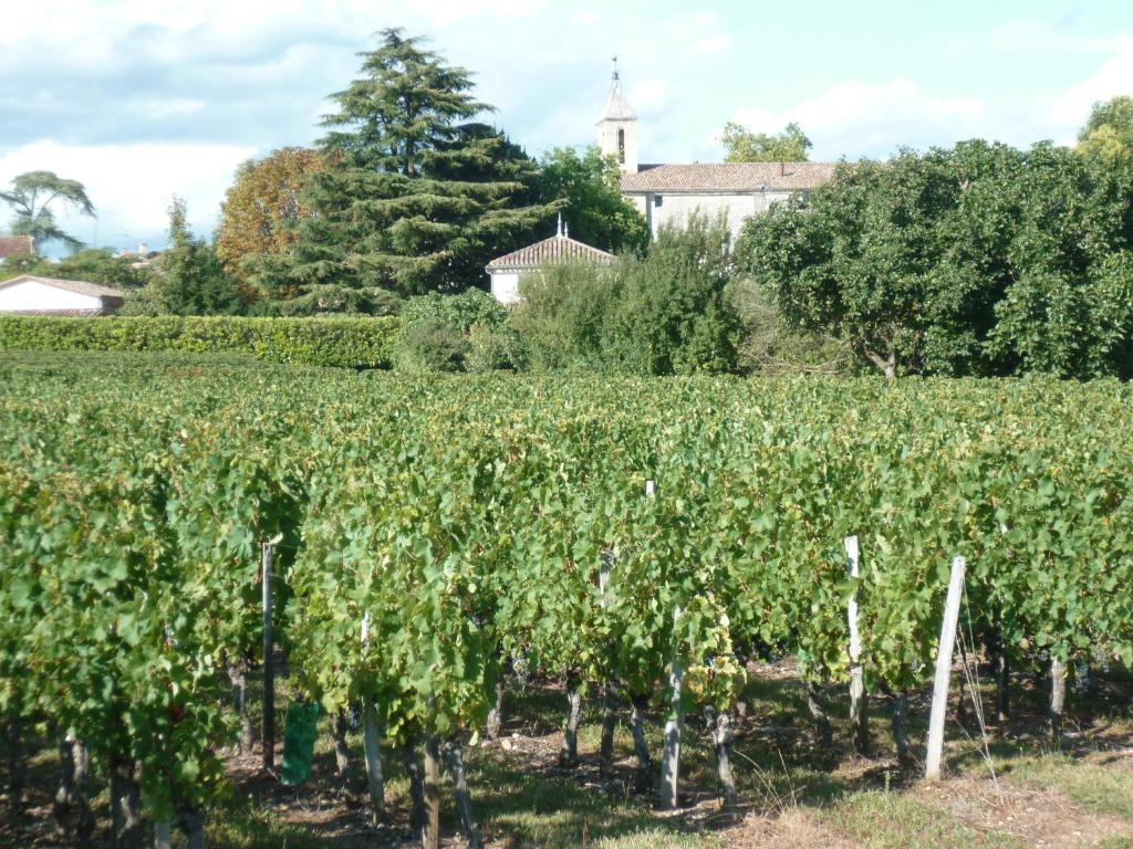Les Raisins Du Bonheur Bed & Breakfast Puisseguin Екстериор снимка